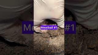 How I harvest my meatballs [upl. by Igenia]