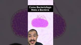 O Vírus que as Bactérias não Gostam curiosidades microscopio virus biologia bacteria biologo [upl. by Alet]