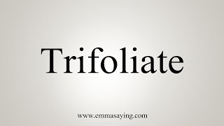 How To Say Trifoliate [upl. by Otrebla]