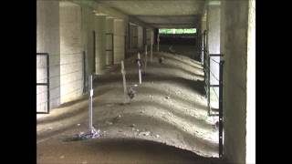 The Trench of Bayonets near Verdun France [upl. by Nwadal]