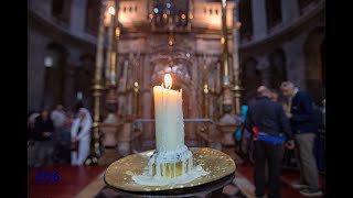 Catholic Pilgrimages with 206 Tours [upl. by Vinita]