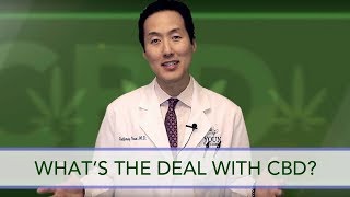 Whats the Deal with CBD and Skin Care  Dr Anthony Youn [upl. by Esenej636]