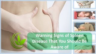 Warning Signs of Spleen Disease That You Should Be Aware of [upl. by Eralcyram]