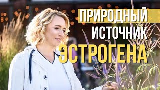 Низкий уровень Эстрогена Последствия Как повысить Эстроген у женщин естественными способами [upl. by Akiemahs]