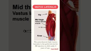 💉Intramuscular Injection Site [upl. by Ibbob]