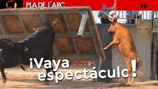 TOROS QUE SALTAN TODO LO QUE SE LES PONE POR DELANTE  PLA DEL ARC 20072018  GERMÁN VIDAL [upl. by Lishe]