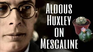 Aldous Huxley on Mescaline  Interview  1961 [upl. by Kaleena416]