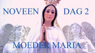 Moeder Maria Noveen  DAG 2 [upl. by Merrie331]