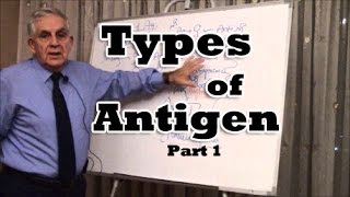 Types of Antigen  Part 1 [upl. by Alyar37]