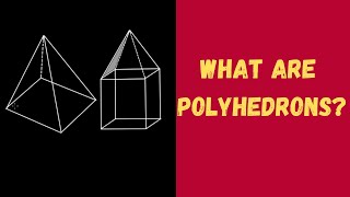 What are Polyhedrons  Solid Shapes  Geometry  Grade 8 [upl. by Eltsirc]