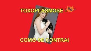 Toxoplasmose  Como se Contrai [upl. by Rafat81]