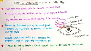 Lacrimal Apparatus Clinicals [upl. by Hayidah]