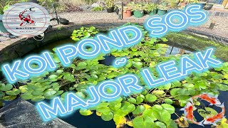 KOI POND SOS  MAJOR LEAK [upl. by Atteragram]