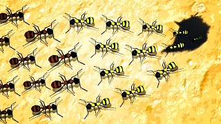 ENDLESS ANT ARMIES Battle for Domination in Empires of the Undergrowth Tug of War [upl. by Xonk210]