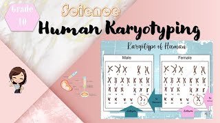 Human Karyotype ǀ Taglish [upl. by Nalat534]