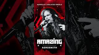 Aerosmith  Amazing  Acapella  Isolated Vocals  Silent Parts Removed [upl. by Corabel395]