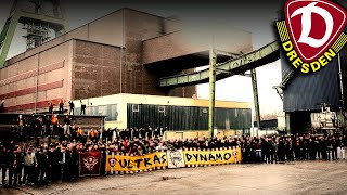 Dynamo Dresden  Ultras Fans Hooligans [upl. by Esaertal594]