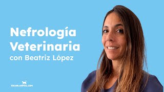 ¿Qué es la Nefrología Veterinaria con Beatriz López [upl. by Nivej]