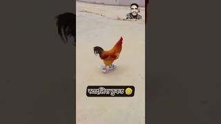 😂 confusion  comedy funny shorts trendingshorts comedyvideos [upl. by Ariaz]