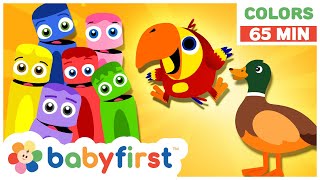 Learn animals for kids  Peekaboo amp Friends in a new adventure  Playtime for babies  BabyFirst TV [upl. by Laersi]