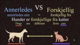 Annerledes VS Forskjellig  Norwegian Language Bokmål [upl. by Alliuqahs]