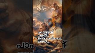 കരുണ തോന്നണേ എന്നിൽ 🙏🙏 Karuna Thonnane Ennil  Kester  Malayalam Christian devotional song [upl. by Geiger279]