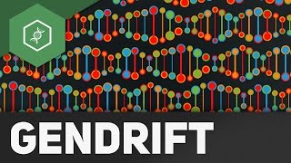 Gendrift  Flaschenhalseffekt Gründereffekt – Evolutionsfaktoren 2 [upl. by Nylqcaj83]