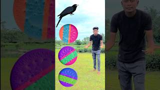 Color biscuit to Crow  tota  Ullu  pigeon  Magical video tranding ytshort [upl. by Norat586]