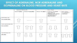 Effect of Adrenaline Nor Adrenaline amp Isoprenaline on Blood Pressure amp Heart Rate [upl. by Richara]