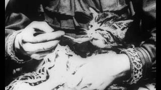 The Sick Kitten 1901  BFI [upl. by Gazzo]