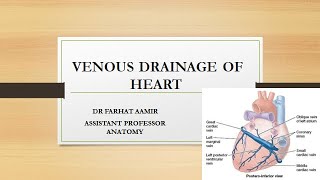 Arterial Supply And Venous Drainage of Heart [upl. by Aynwat]