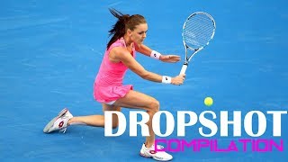 Agnieszka Radwanska Dropshot Compilation Pure Magic [upl. by Burlie]