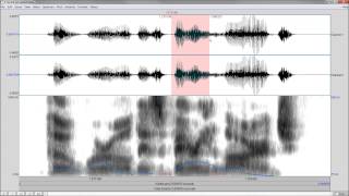 Analayze your voice  Praat Tutorial [upl. by Gnuhc2]