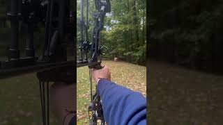 Lighted archery nocks x Mathews V3 27  20 yards mathewsarchery satisfying nature motivation [upl. by Anaya]