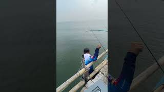 Sempat Viral Pria berjalan di Atas Air Ternyata Ini yang Sebenarnya Terjadi fishing shortvideo [upl. by Prady]