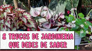 😍 8 TRUCOS DE JARDINERIA QUE DEBES SABER PARA TENER PLANTAS HERMOSASLiliana Muñoz [upl. by Luther825]