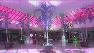 cyber sex by doja cat but it’s slowed and playing in an empty mall [upl. by Repsag]