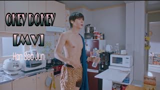 MV Okey Dokey × Seo jun  True Beauty  2020  Kdrama [upl. by Smukler280]