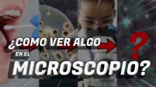 👩‍🔬🔬 COMO VER ALGO EN EL MICROSCOPIO 🦠🧬 Toma de muestra Preparados Tinción Fijación Microscopia [upl. by Ahsiei]