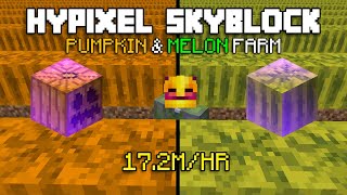 SunTzu amp MelonKingDes Black Cat MelonPumpkin Farm  Hypixel SkyblockOutdated [upl. by Seditsira566]