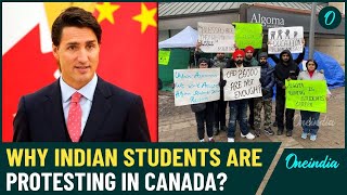 Canada in Chaos 70000 International Students at Risk of Deportation Amidst Massive Protests [upl. by Leynad]