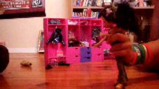 Bratz dolls video fight [upl. by Josy]