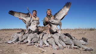 EPIC Texas Sandhill Crane Hunting CATCH CLEAN COOK [upl. by Boffa]