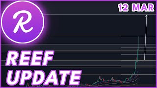 EMERGENCY UPDATE🚨  REEF PRICE PREDICTION amp NEWS 2024 [upl. by Sisenej770]