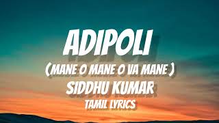 adipoliashwinsonglyricsAdipoli Ashwin album Song with lyrics  mane o mane  siddhu kumar song [upl. by Aslam]