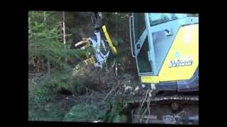 EXCAVATRICE YANMAR AVEC ABATTEUSE KESLA [upl. by Florian]