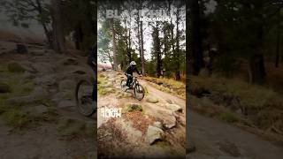 King of Ballarat rock garden practice waydownwego bornformtb downhill ridemtb viral [upl. by Eneirda]