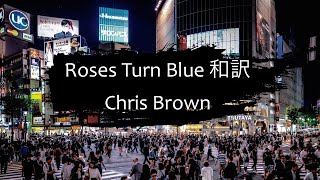 〔和訳〕Roses Turn Blue  Chris Brown [upl. by Nylave]