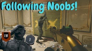 Noob Hunting 6  Rainbow Six Siege [upl. by Naget]