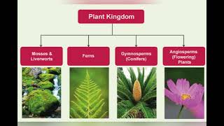 Introduced 5 kingdom classification system [upl. by Vani939]